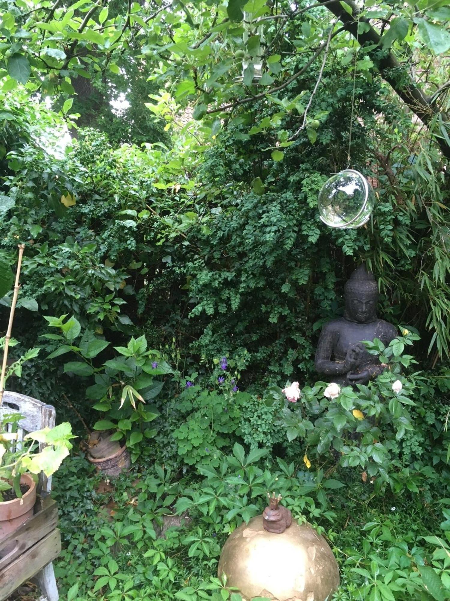 Grosse Hobbithoehle Mit Gemeinschaftsgarten Neustadt am Rübenberge Exteriér fotografie